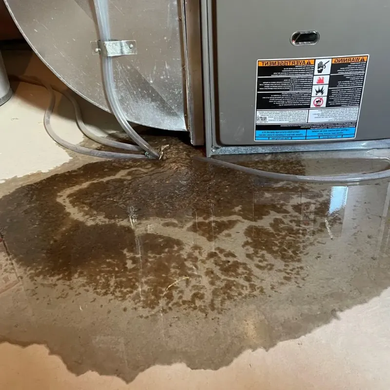 Pipe Burst and Leak Restoration in Dyer, IN